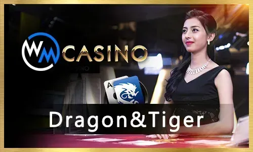 Comprehensive sports betting markets and live betting at okgames